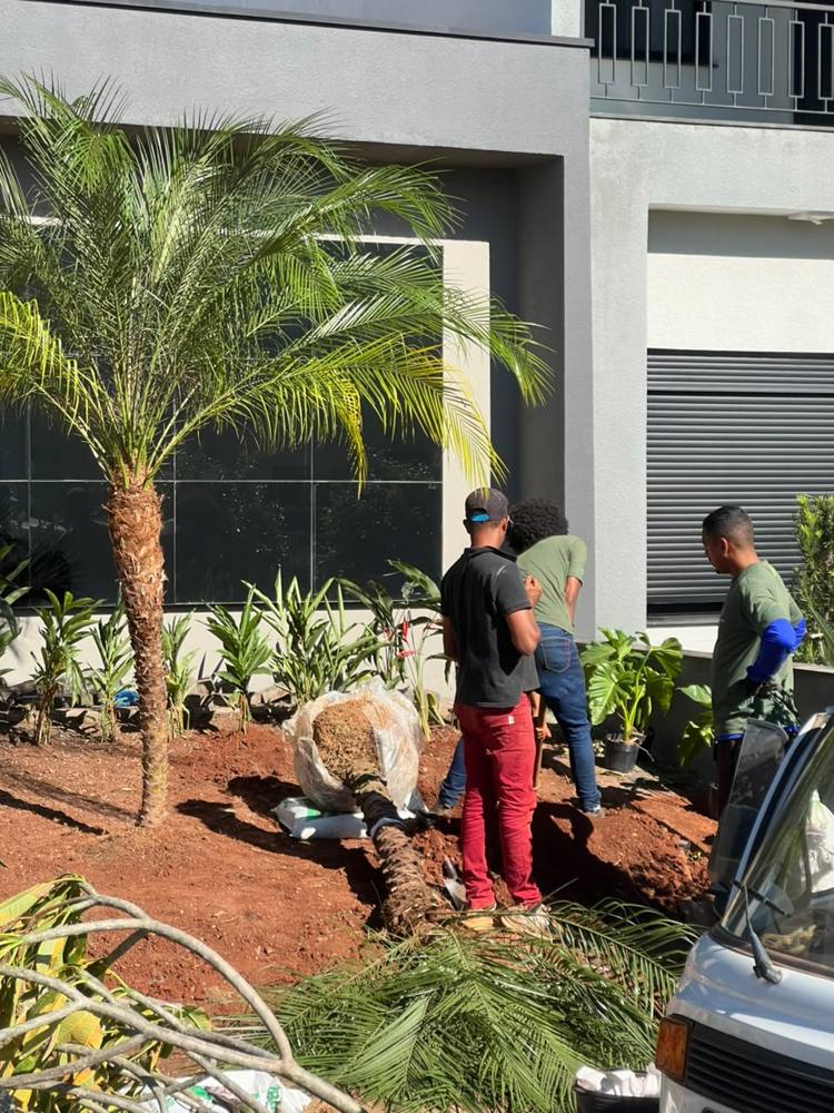 Equipe da GF plantando uma palmeira em frente a um prédio