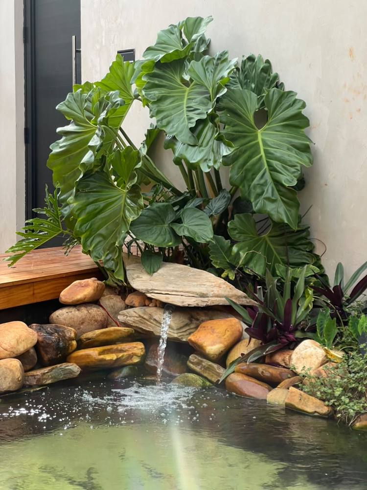 Jardim com lago, cascata e filodendros